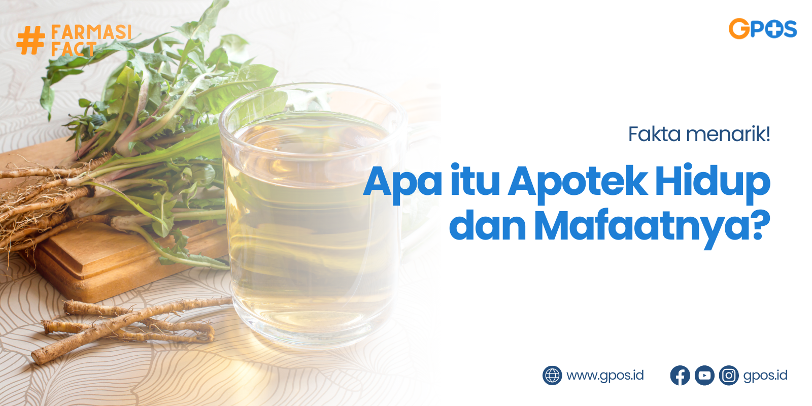 Apa itu Apotek Hidup dan Manfaatnya? Yuk, Simak Bersama!